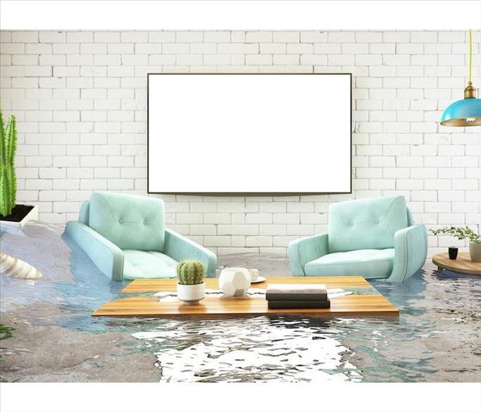 Couches in water in living room