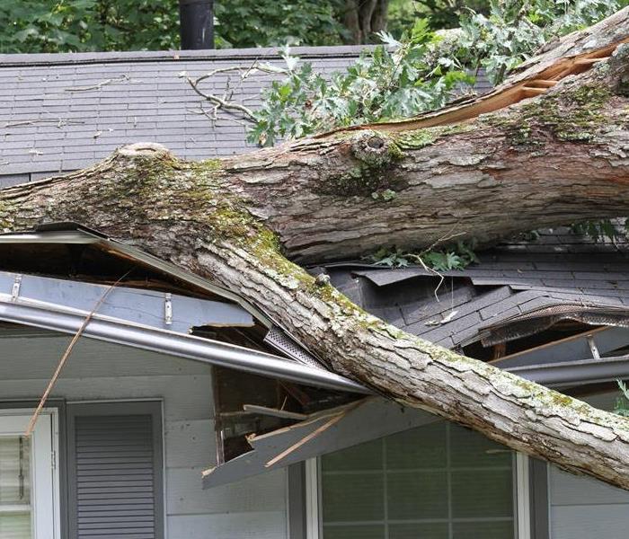 A tree laying on the roof of a home. 