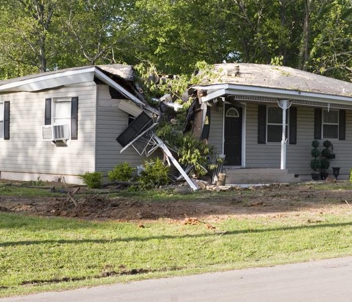A home with a tree fallen over in the home.