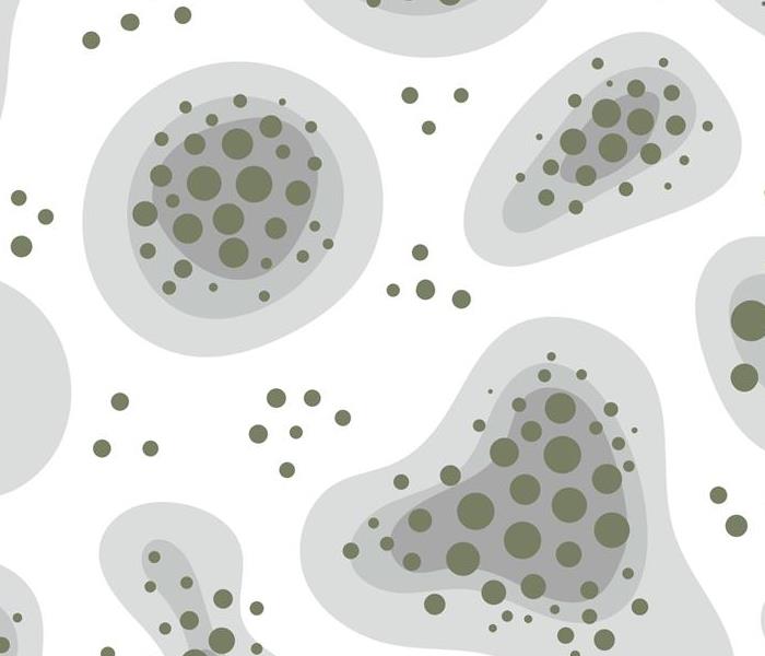 Grey bubbles with Green specks on a white background.